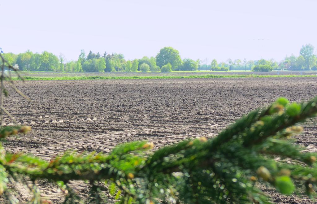 Gastenhuis De Veenstraal Gieterveen Dış mekan fotoğraf